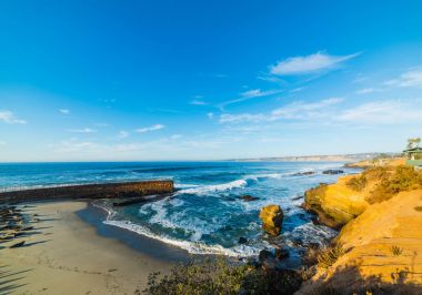 Deniz Aslanları La Jolla Beach