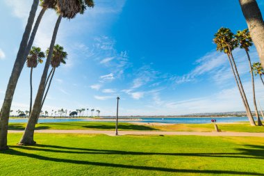 Mission Bay, San Diego palmiye ağaçlarında
