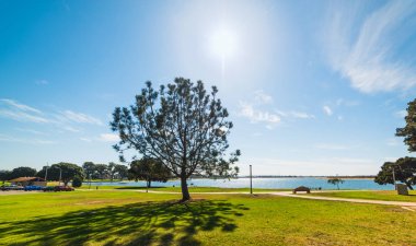 Mission Bay deniz yeşil çayır