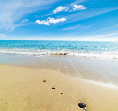 Sandy shore Perdepera Beach
