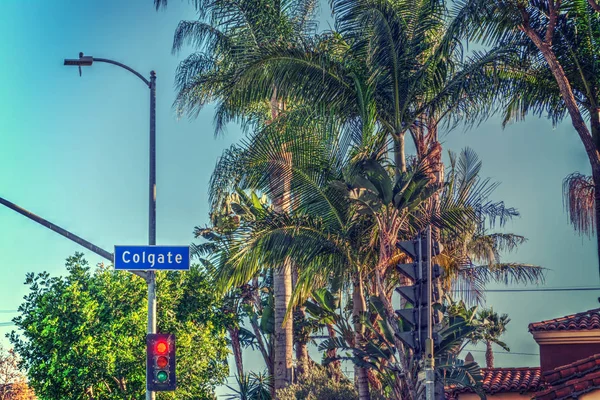 Palm trees in Colgate avenue — Stock Photo, Image