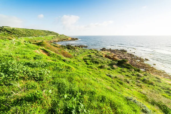 Zelené louce u moře v destinaci Alghero pobřeží — Stock fotografie