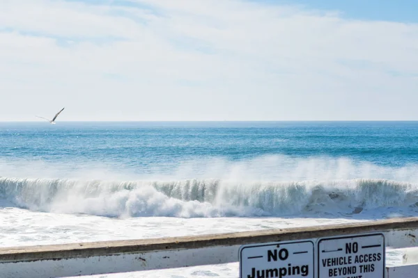 Gabbiano che sorvola il mare a Pacific Beach — Foto Stock