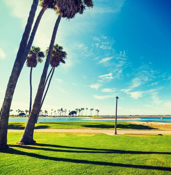 Mission Bay, San Diego palmiye ağaçlarında — Stok fotoğraf