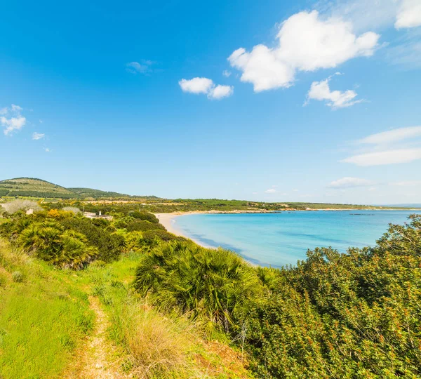 Lazzaretto plage sous un ciel bleu au printemps — Photo