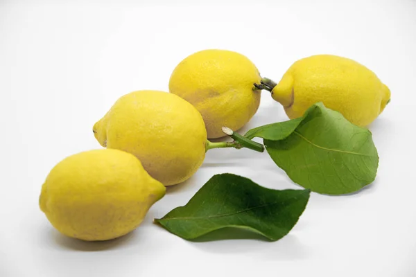 Lemons with leaves on white — Stock Photo, Image