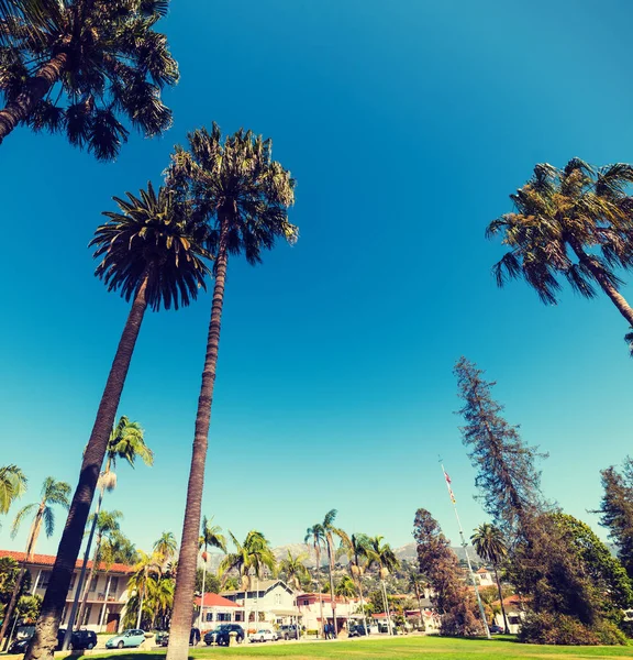 Palmeras bajo un cielo azul en Santa Bárbara — Foto de Stock