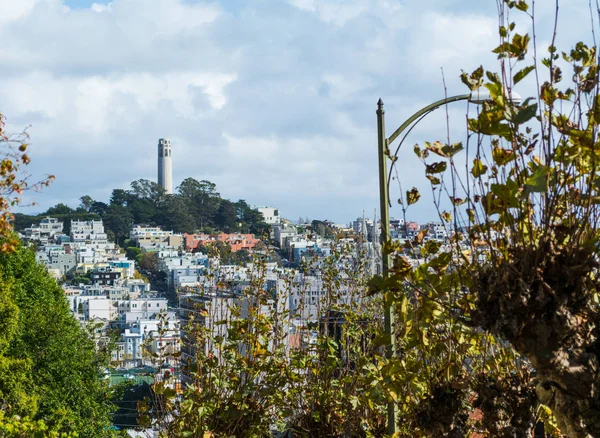 Torre del Coit famosa in tutto il mondo a San Francisco — Foto Stock