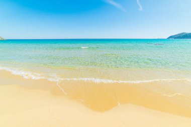 Golden shore in Cala Monte Turno