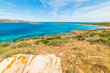 Capo Coda Cavallo sahilindeki bitkiler. Sardunya, İtalya