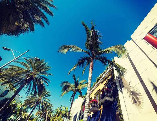 Palm trees and elegant buildings in Rodeo Drive — Stock Photo, Image