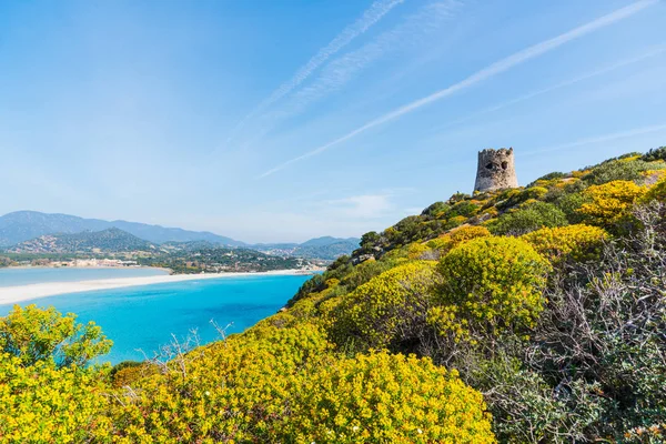 Barevné hill s pláží Porto Giunco na pozadí — Stock fotografie