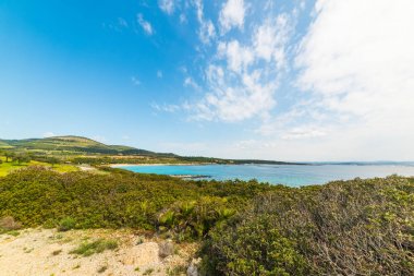 Alghero'da renkli sahil