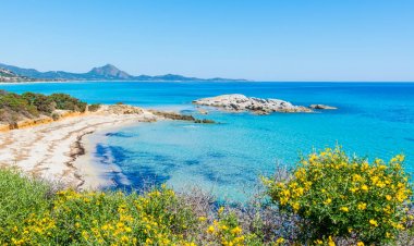 Güneşli bir günde di Peppino Scoglio plaj