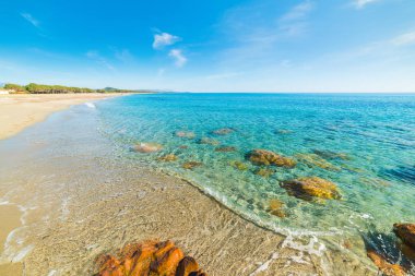 Temiz su Perdepera Beach