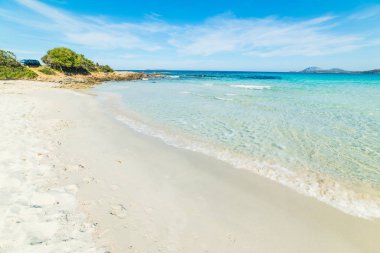 Beyaz kum ve turkuaz su Rena Bianca Beach. Sardunya, İtalya