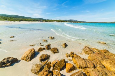 Rena Bianca sahilinde kayalar ve beyaz kum. Sardunya, İtalya
