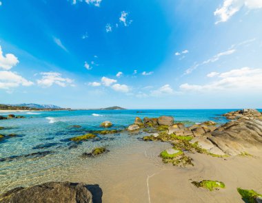 Orri plaj renkli sahil