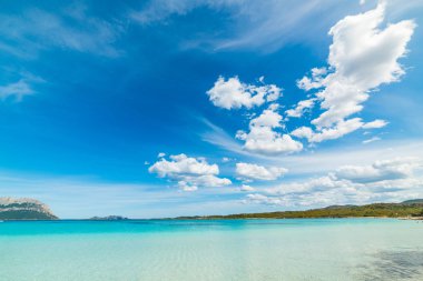Cala Brandinchi turkuaz su