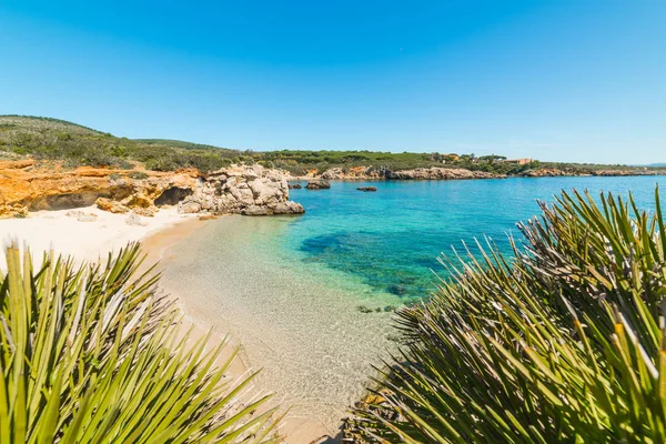 Acqua limpida in una piccola insenatura ad Alghero — Foto Stock