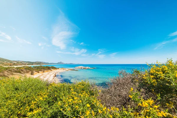 Colorful shore in Scoglio di Peppino beach — ストック写真