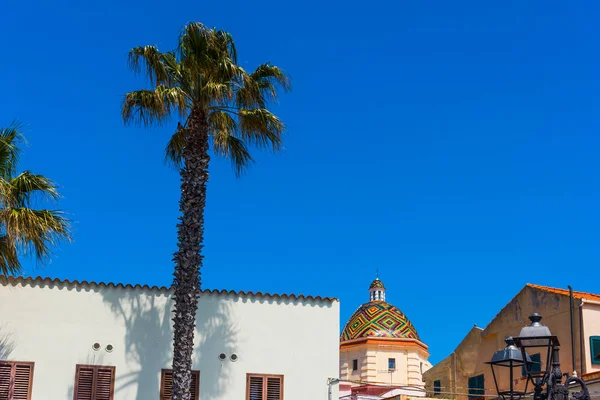 Palmboom onder een blauwe hemel in Alghero — Stockfoto