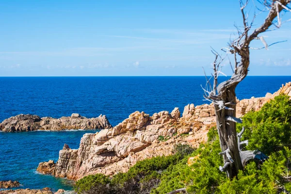 Felsige küste im costa paradiso — Stockfoto