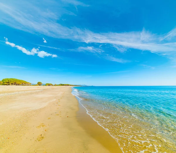 Золотой берег на пляже Пердепера — стоковое фото