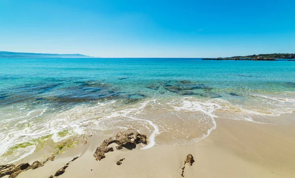 알게로 있는 르 Bombarde 해변의 푸른 바다 — 스톡 사진