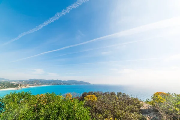 Plantes vertes et mer bleue sur la côte de Porto Giunco — Photo