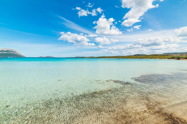 Tiszta víz a Cala Brandinchi — Stock Fotó