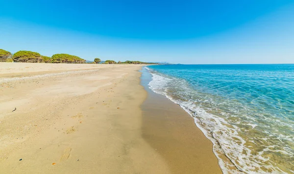 Areia dourada na praia de Perdepera — Fotografia de Stock