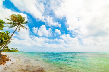 Guadeloupe Bois Jolan plaj
