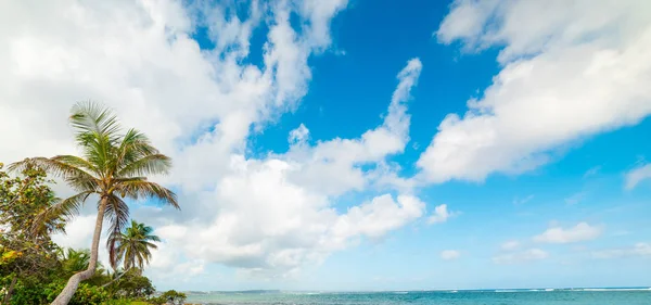 Autre bord beach an einem bewölkten Tag in Guadeloupe — Stockfoto