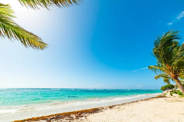 Vackra Raisins Clairs stranden i Guadeloupe — Stockfoto