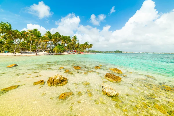 La Caravelle beach in Guadeloupe — Stock Photo, Image