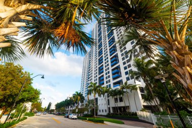 Gün batımında Miami Beach palmiye ağaçları ve gökdelenler