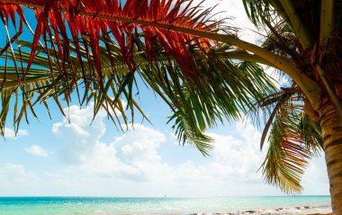 Pointe de la Saline sahilinde avuç içi ve turkuaz su