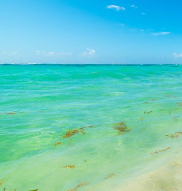 Guadeloupe turkuaz su ve mavi gökyüzü