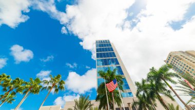 Fort Lauderdale 'de gökdelenler ve palmiye ağaçları