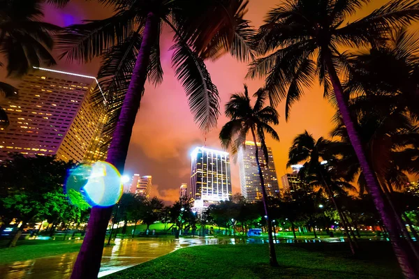 Palm trees and skyscrapers in Bayfront park — Stock Photo, Image