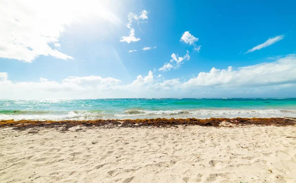 Sole splendente sulla spiaggia Raisins Clairs in Guadalupa — Foto Stock