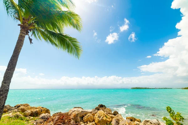 Guadeloupe Le Gosier kıyısında Turkuaz su — Stok fotoğraf