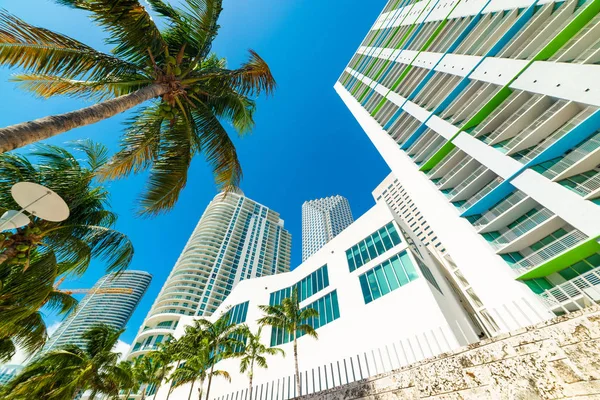 Skyscrapers and palm trees in beautiful downtown Miami — Stock Photo, Image
