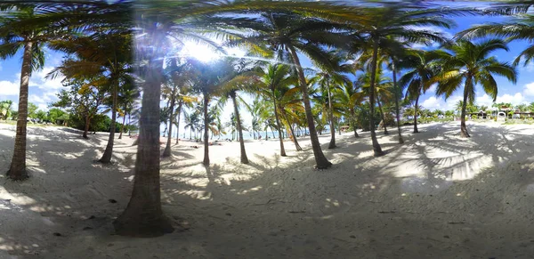 360 fokos kilátás Bois Jolán strand, Guadeloupe-on — Stock Fotó