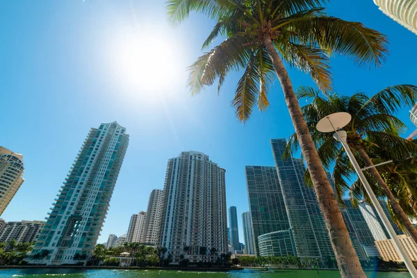 Felhőkarcolók Miami Riverwalk egy napsütéses napon — Stock Fotó