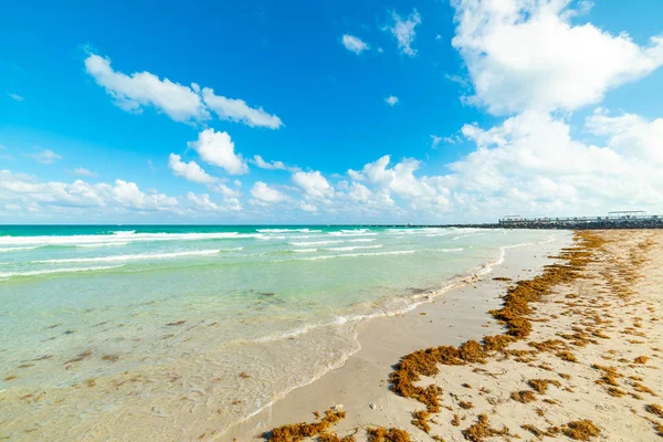 Cielo nuvoloso sulla spiaggia di Miami Beach — Foto Stock