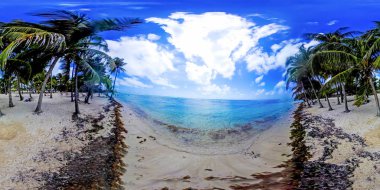 Guadeloupe Beach'te Bois Jolan 360 derece bakış