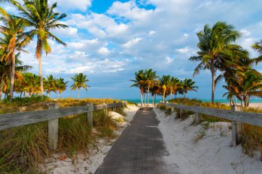 Wooden boardwalk in Crandon Park at sunset clipart