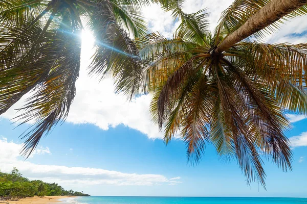 Zon schijnt boven het strand van La Perle in Guadeloupe — Stockfoto